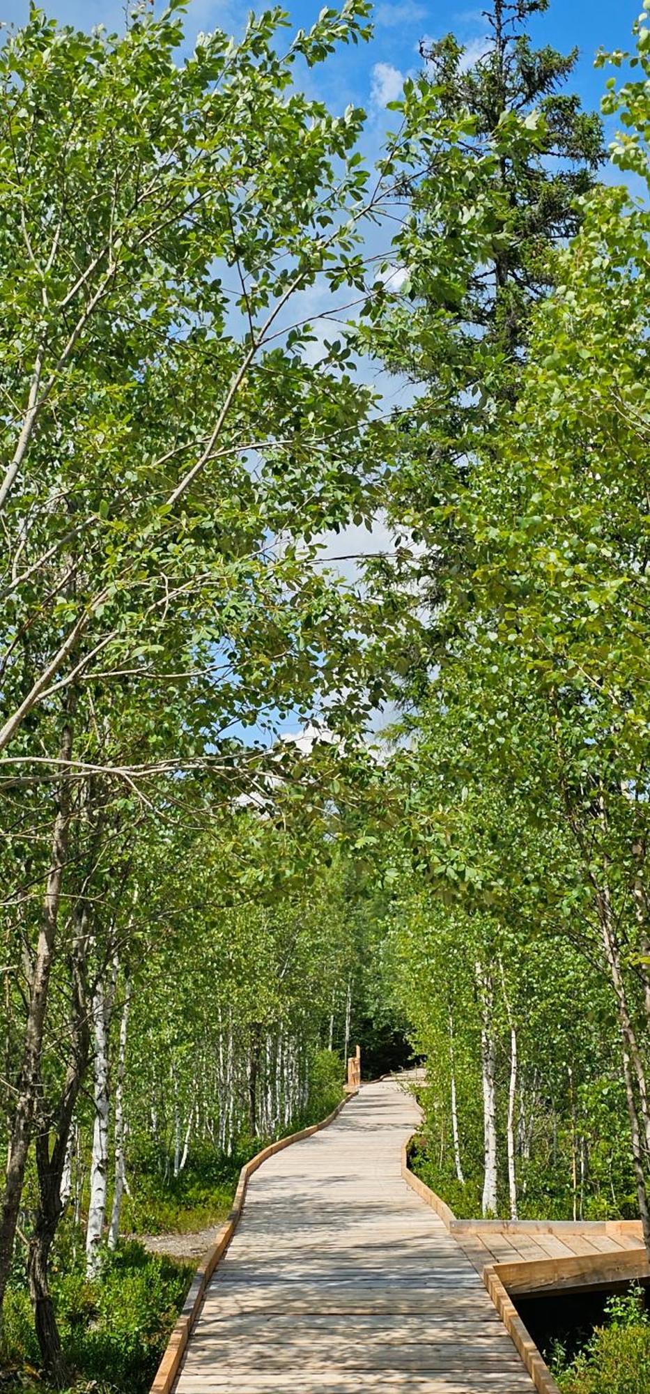 Horska Kvilda - Ubytovani U Chvalu Exterior photo